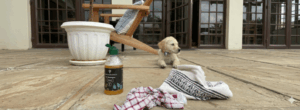 Pet Shampoo
