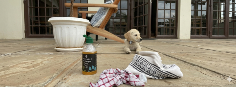 Pet Shampoo