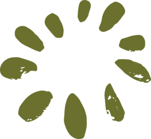 Grounded - Baobab Seeds dark green