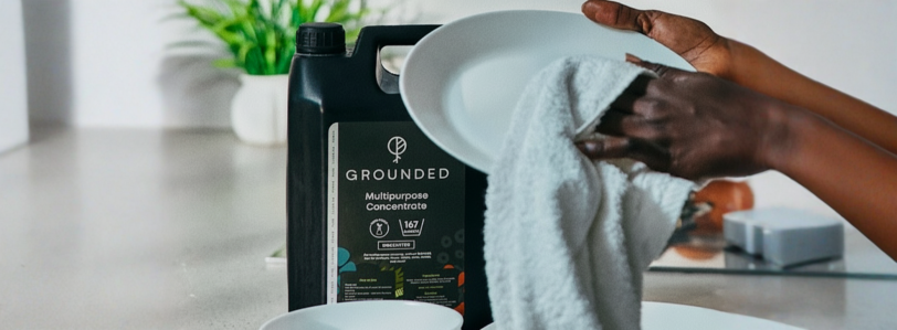 Grounded - household 1